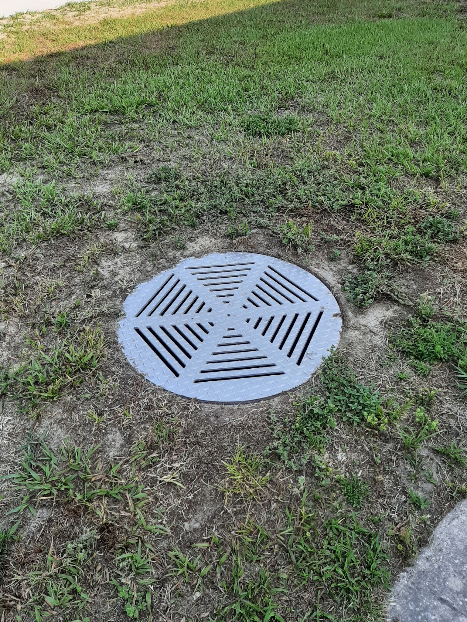 Installed Drain Cover