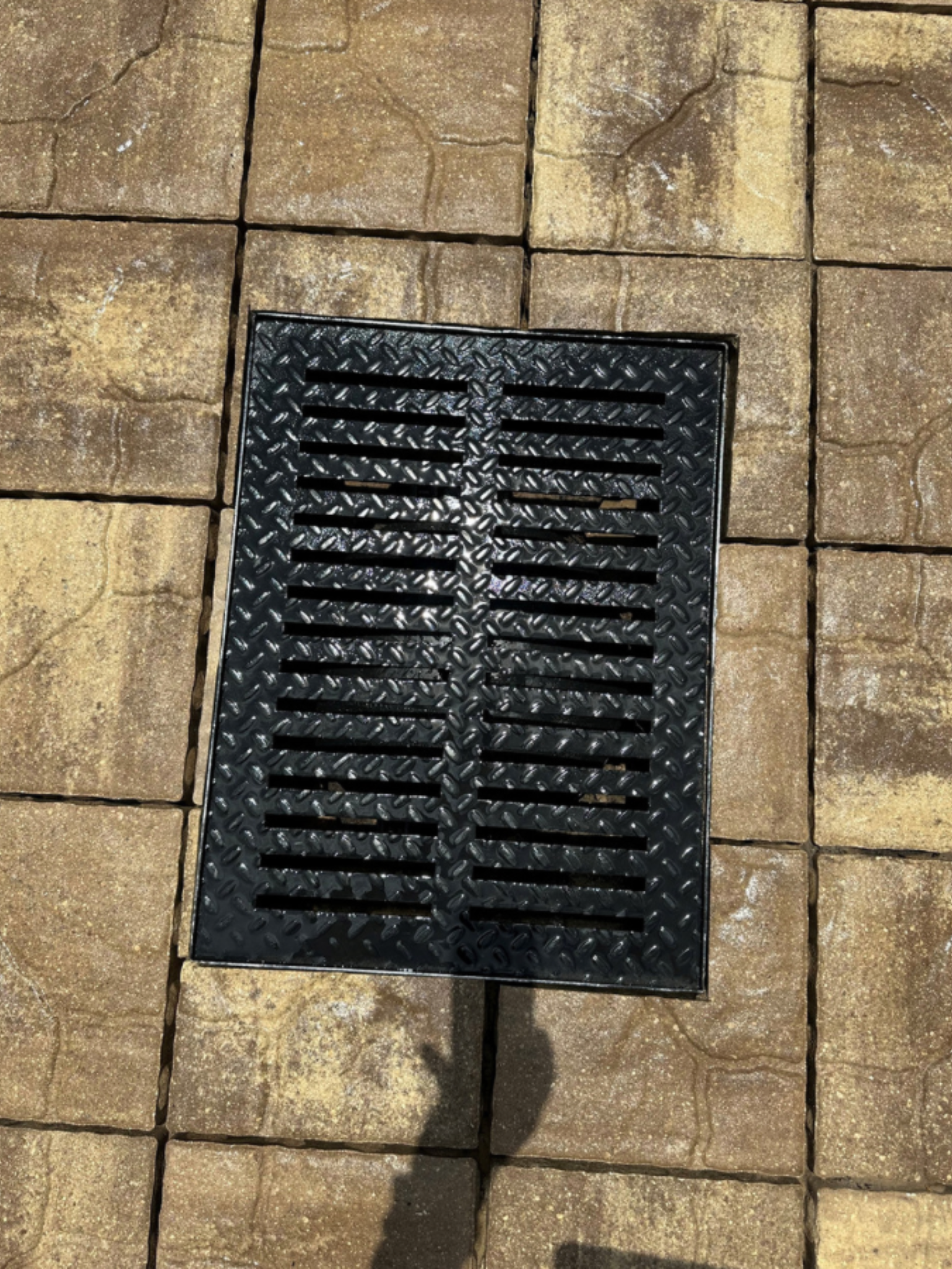 Shiny Drain Grate