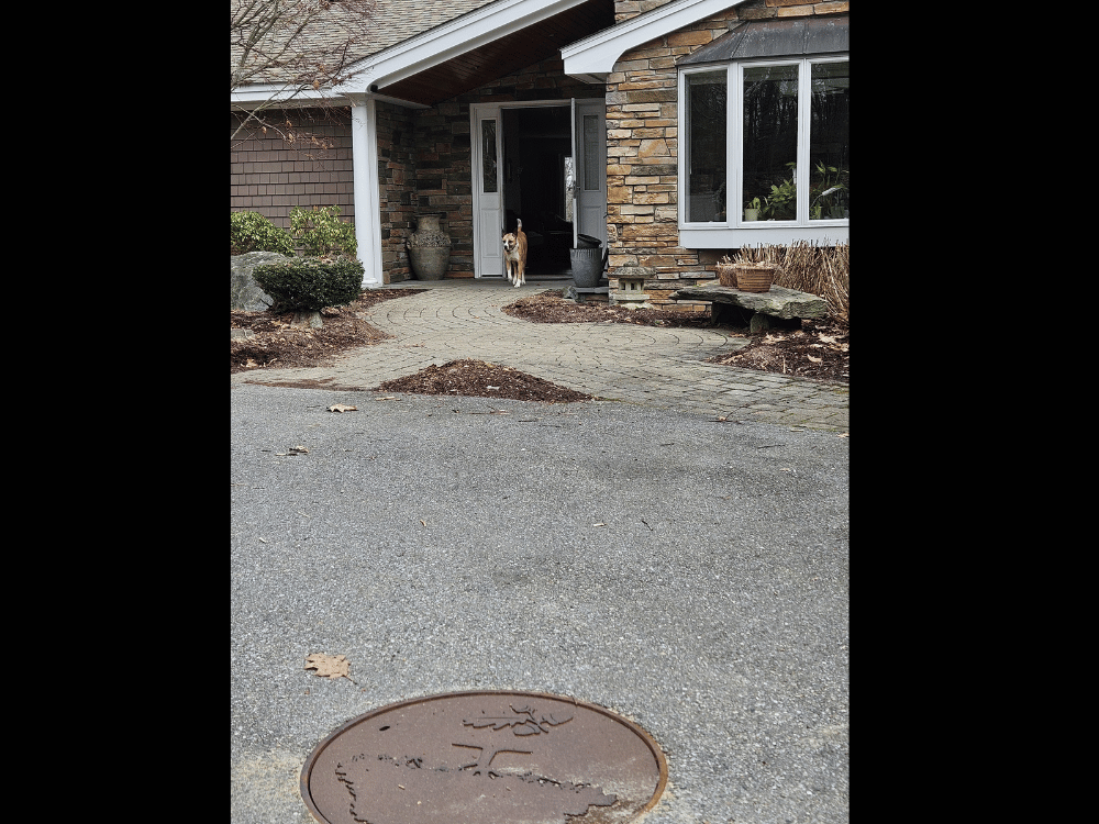Installed laser art design cover of a tree and acorns